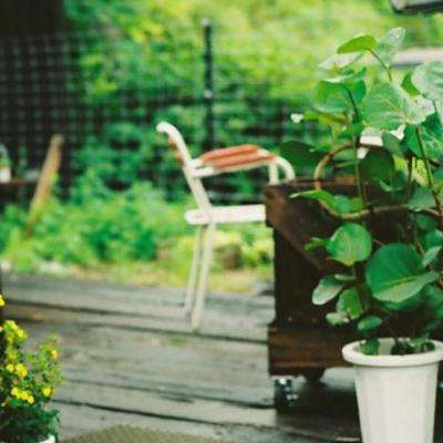 乐虎国际app下载